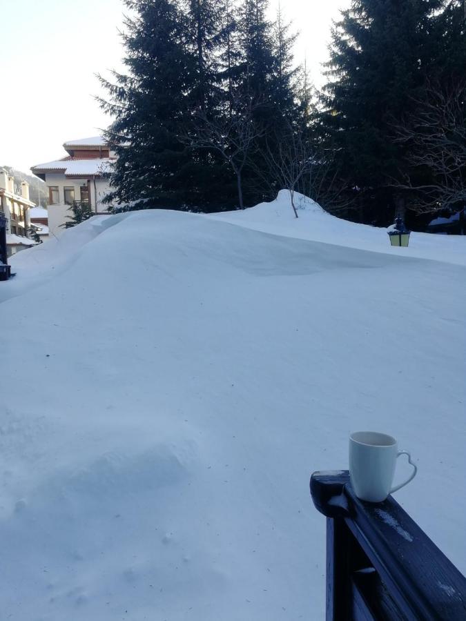 IV Apartment In The Wonderful Rhodope Mountain Smolyan Ngoại thất bức ảnh